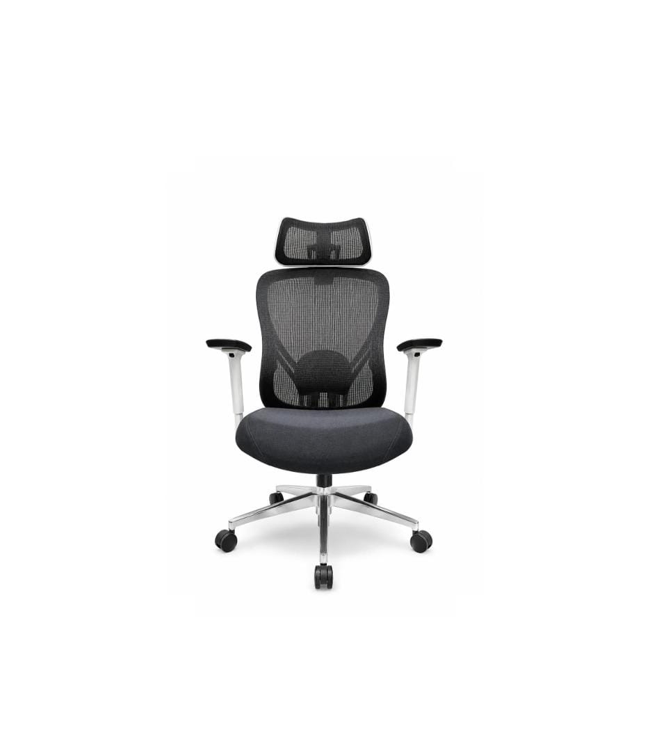 Ergonomic Mesh Office Chair with Adjustable Headrest and Lumbar Support