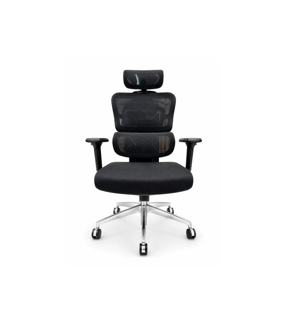Ergonomic Mesh Office Chair