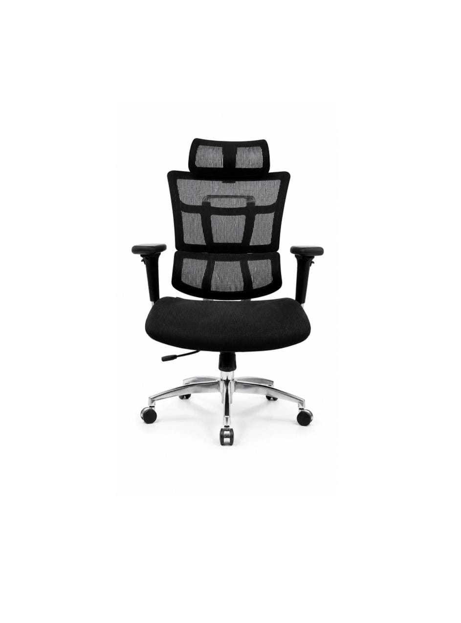 Ergonomic Dual-Zone Mesh Office Chair with Adjustable Headrest