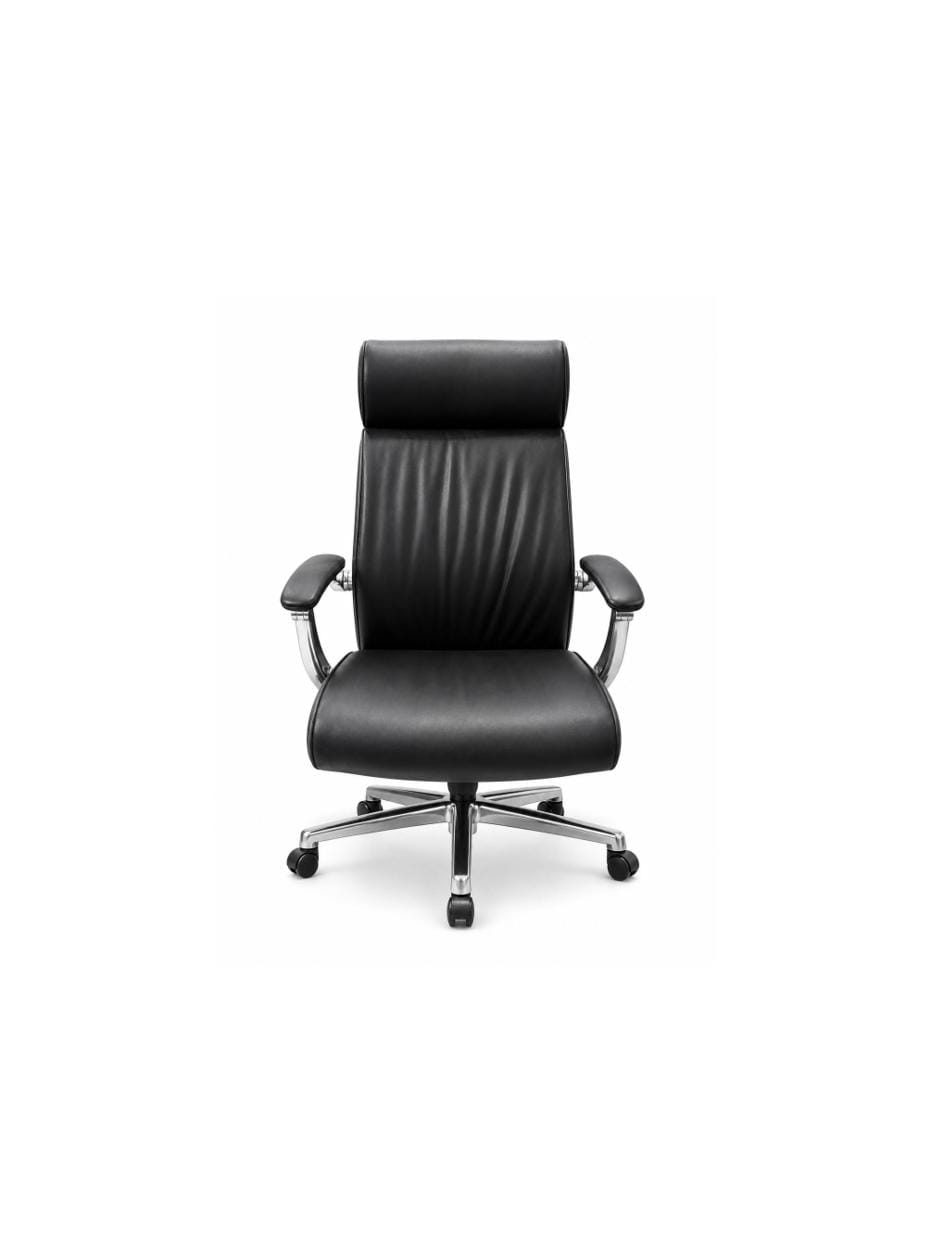 High-Back Ergonomic Mesh Executive Chair with Adjustable Headrest - Black