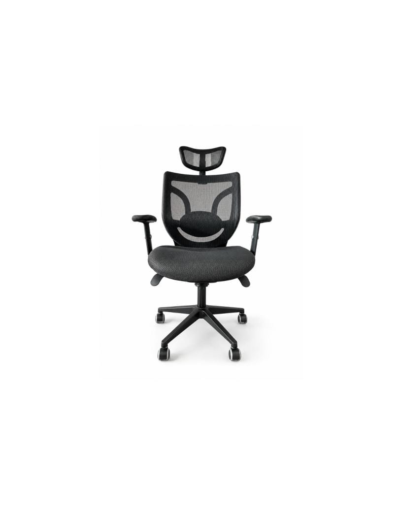 High-Back Ergonomic Office Mesh Chair with Headrest