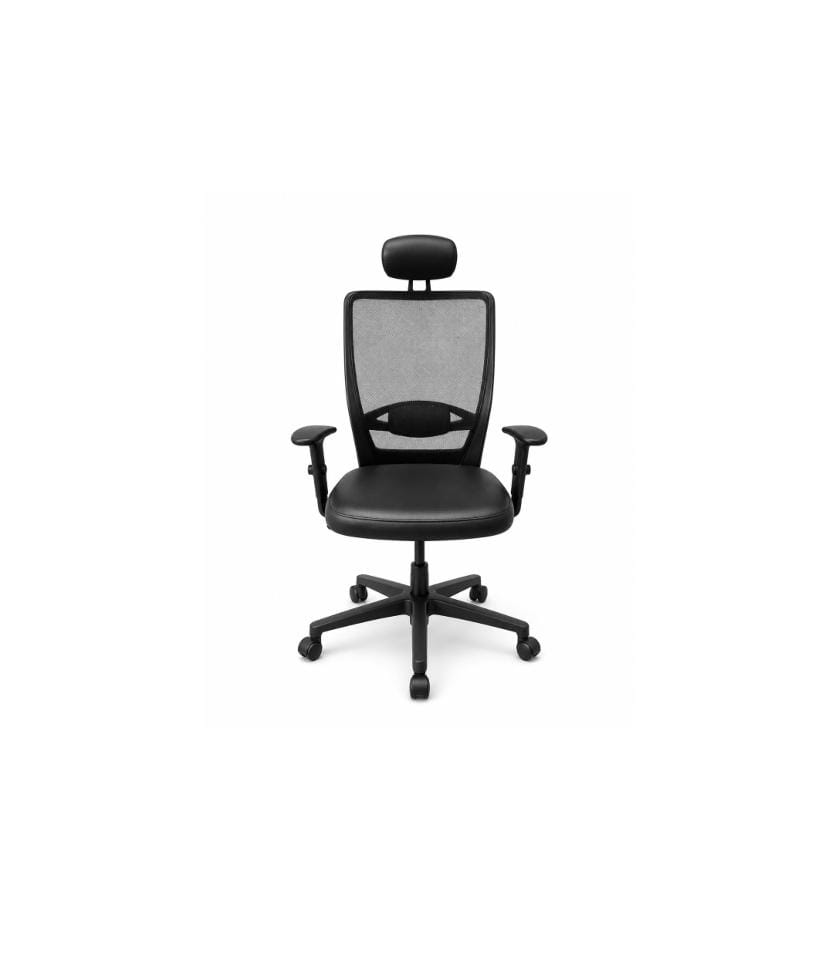 High-Back Ergonomic Office Mesh Chair with Headrest & Leather Seat