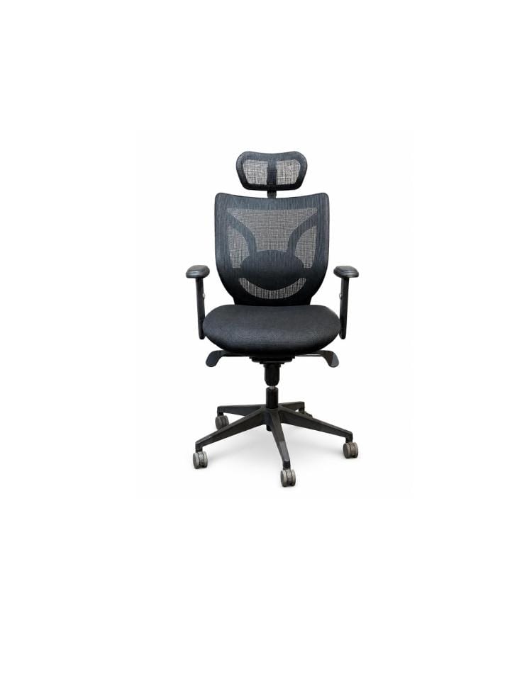 High-Back Ergonomic Office Mesh Chair with Headrest